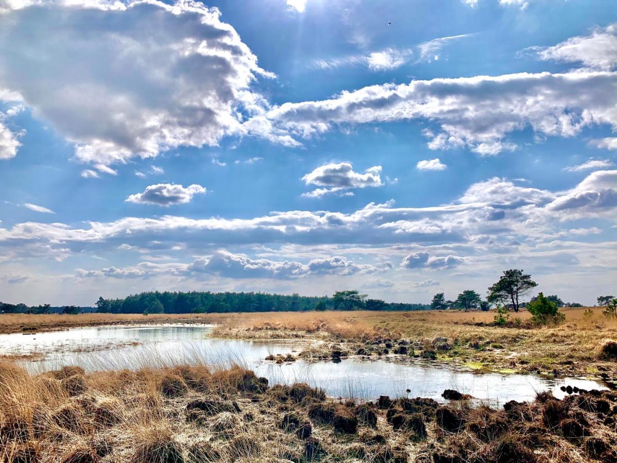 Vakantiehuis De Wollige Hooglander: In Comfort Middenin